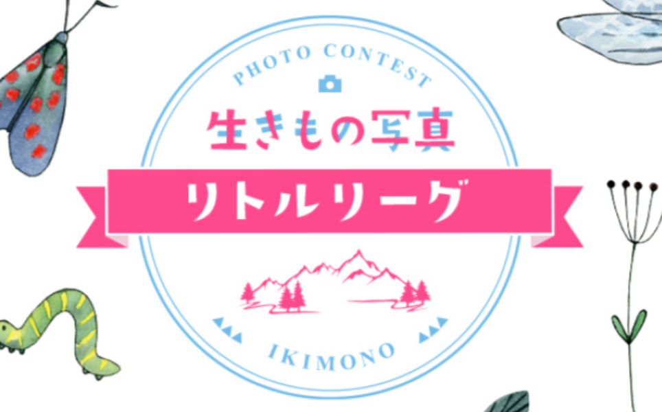 動植物のフォトコンテスト事業
