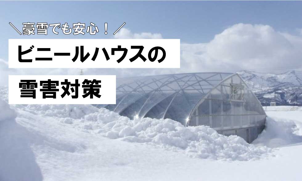 早めの備えで被害を防ぐ ビニールハウスの雪害対策のご紹介 お知らせ 渡辺パイプ株式会社